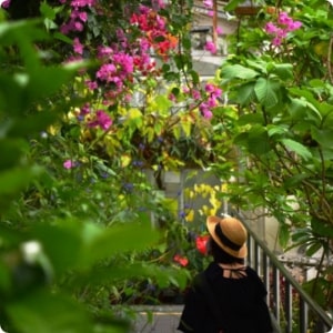 東山動植物園（愛知県名古屋市）