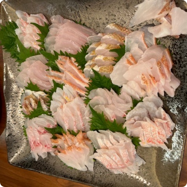 釣った魚で刺身パーティー