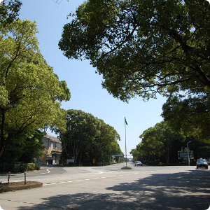 山口製造所光エリア